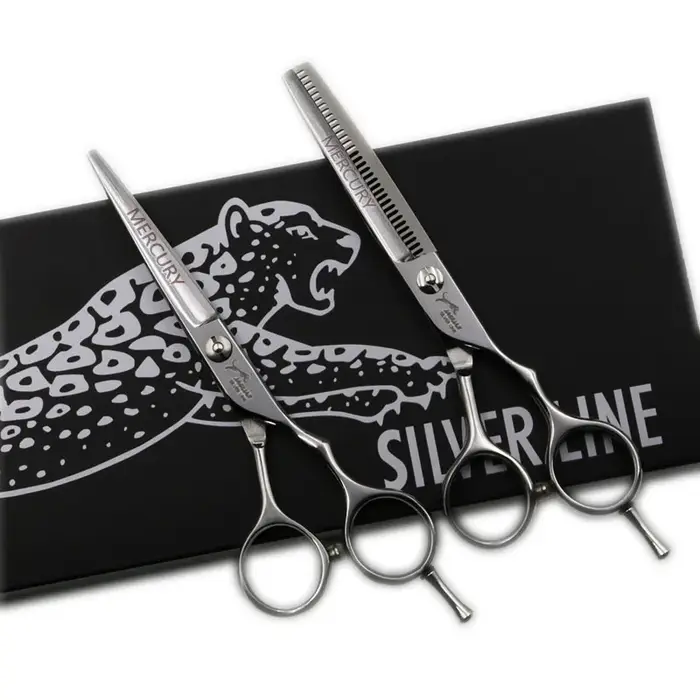 Ensemble de ciseaux de coiffure professionnels de 5.5 pouces, coupe + ciseaux de barbier amincissant