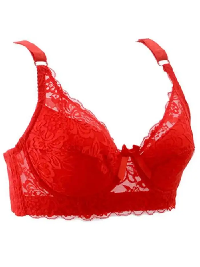 Jemná krajková podprsenka s kosticemi pro ženy, bralette, push-up podprsenka, spodní prádlo, sexy spodní prádlo, vyšívaná podprsenka