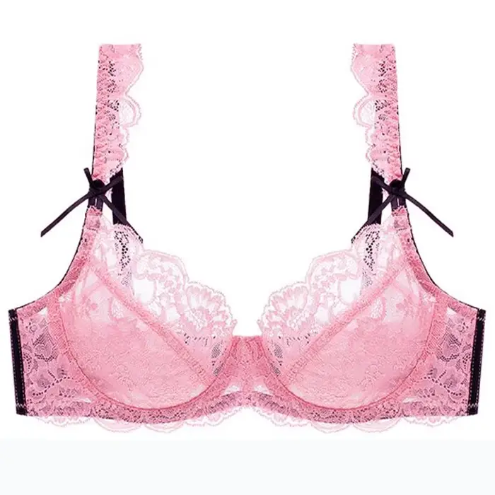 Soutien-gorge Sexy en dentelle pour femmes, sous-vêtements bonnet ABCDE, maille transparente, Ultra fine, Push Up, Lingerie féminine, nouvelle collection 2024