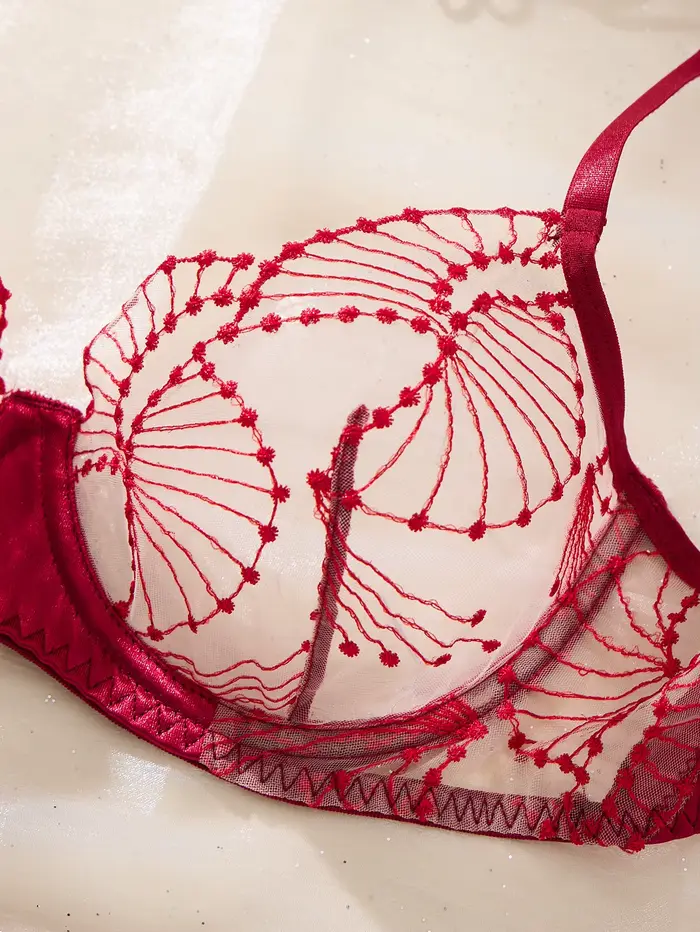 Ensemble de lingerie brodée rouge vin romantique pour la Saint-Valentin - ensemble de deux pièces sexy en maille transparente avec soutien-gorge push-up ZA825287