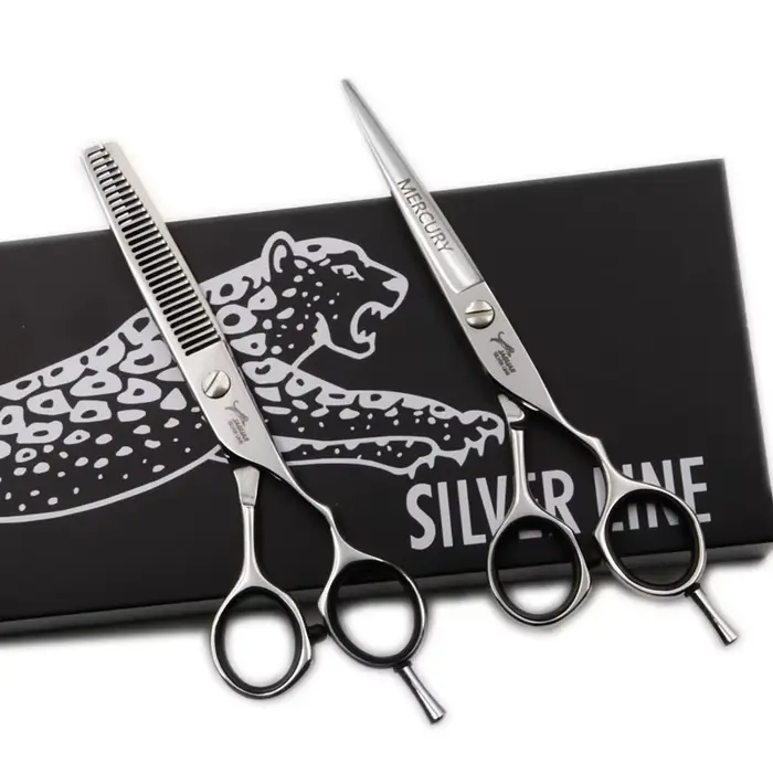 Ciseaux à cheveux professionnels 5/5,5/6/6,5 pouces – Kit de coiffure de haute qualité (ciseaux de c