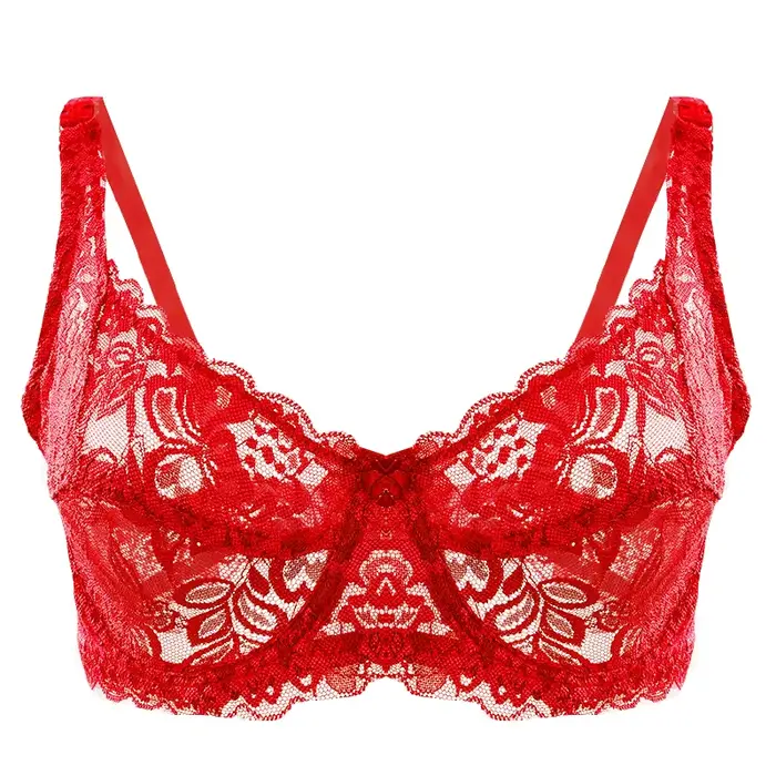 Soutien-gorge push-up en dentelle élégant pour femmes, avec armatures, bretelles ajustables, design transparent et confortable pour tous les jours