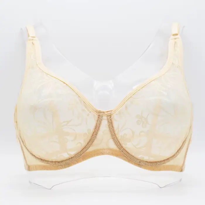 Soutien-gorge à armatures en dentelle pour femmes, sous-vêtements féminins, bralette transparente, l