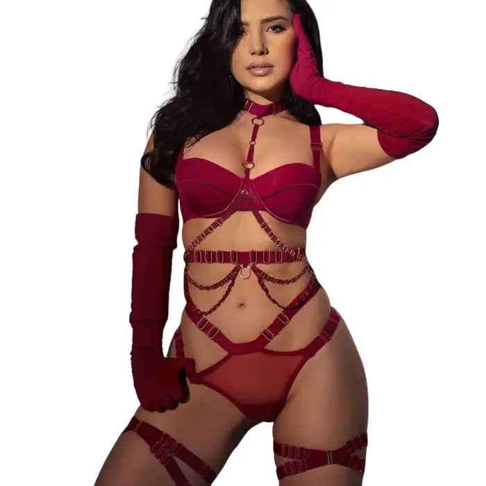 2025 Sexy Hottie rassemblé corps façonnage luxe ensemble de soutien-gorge mode exotique évider culotte de sous-vêtements érotique cinq pièces ensemble