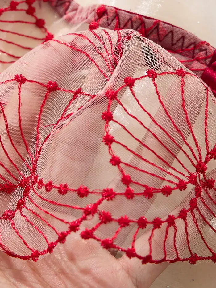Ensemble de lingerie brodée rouge vin romantique pour la Saint-Valentin - ensemble de deux pièces sexy en maille transparente avec soutien-gorge push-up ZA825287