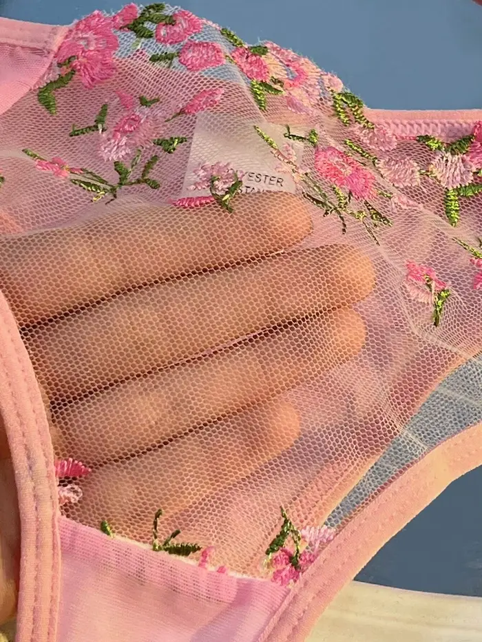 Erotické spodní prádlo dámská podprsenka a slipy ženy Květinové výšivky spodní prádlo set Sexy krajka průhledný smyslné Push Up souprava