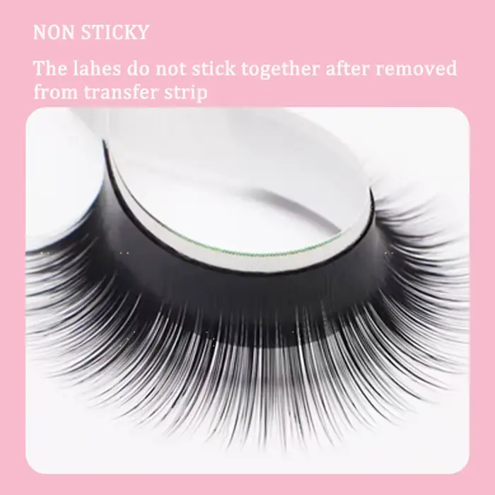Camélia faux cils 0.05 0.07 LJ LC LB curl Extensions de cils doux faux cils mise à niveau Premium ci