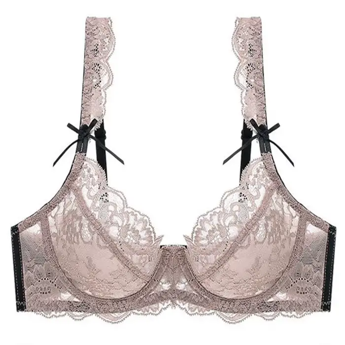 Soutien-gorge Sexy en dentelle pour femmes, sous-vêtements bonnet ABCDE, maille transparente, Ultra fine, Push Up, Lingerie féminine, nouvelle collection 2024