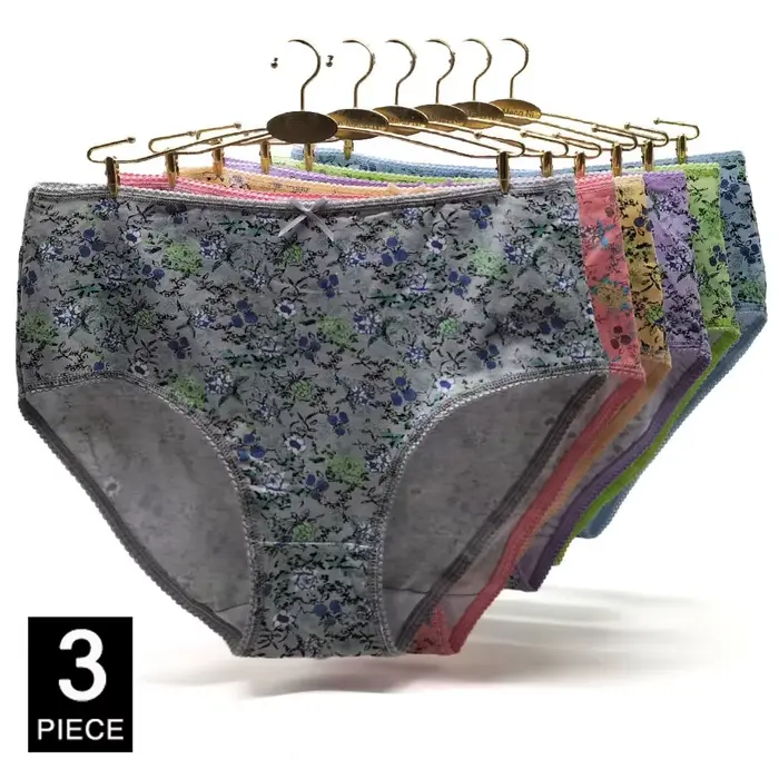 Sous-vêtements en coton pour femmes, culottes grande taille, lingerie pour dames, culottes d'accélér