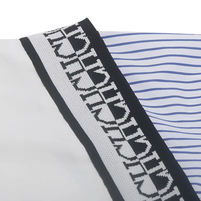 CHCH-Chemise à Manches sulfpour Femme, Haut Décontracté, Confortable, Simple, Rayé, Patchwork, Bleu 