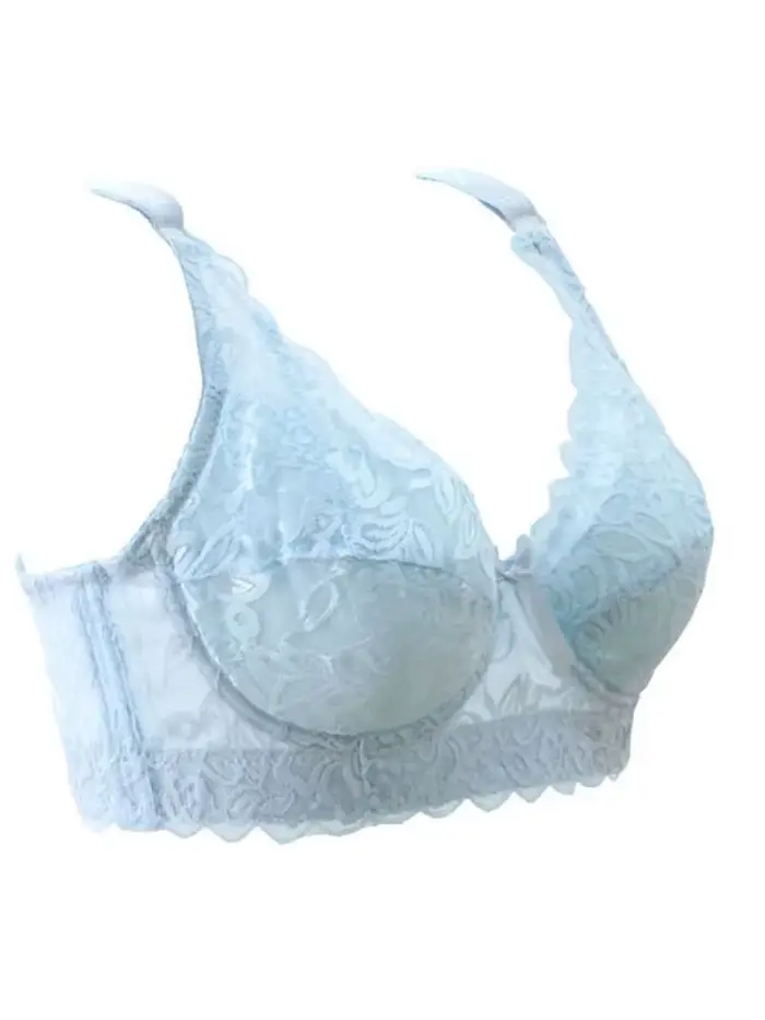 Jemná krajková podprsenka s kosticemi pro ženy, bralette, push-up podprsenka, spodní prádlo, sexy spodní prádlo, vyšívaná podprsenka