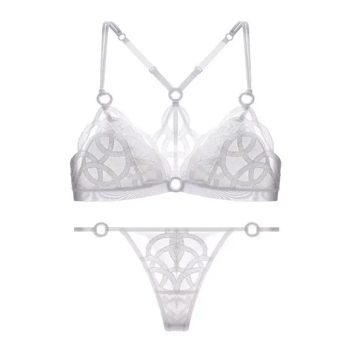 Ensemble de Lingerie française Sexy pour femmes, beau dos, maille fine brodée, sous-vêtements sans f