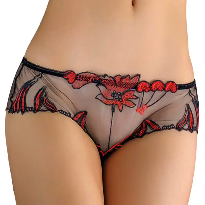 Lingerie en dentelle slips Sexy femmes maille transparente personnalité taille basse string sous-vêtements Sexy voir à travers Mujer culottes Lingeries