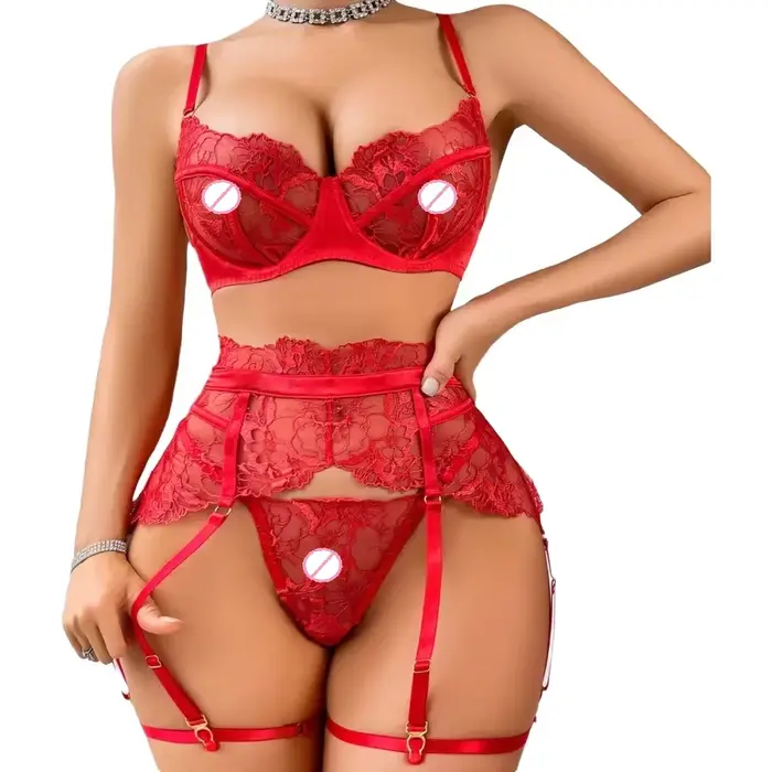 Ensemble de lingerie érotique de luxe pour femmes, dentelle florale brodée, sexy, transparente, push-up, sous-vêtements froncés, 4 pièces
