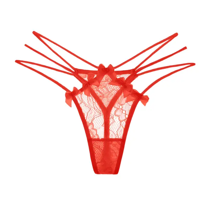 Sexy krajkové kalhotky pro ženy, žabky s nízkým pasem, svůdná vyšívaná síťovina, průhledné spodní prádlo pro ženy, erotingen