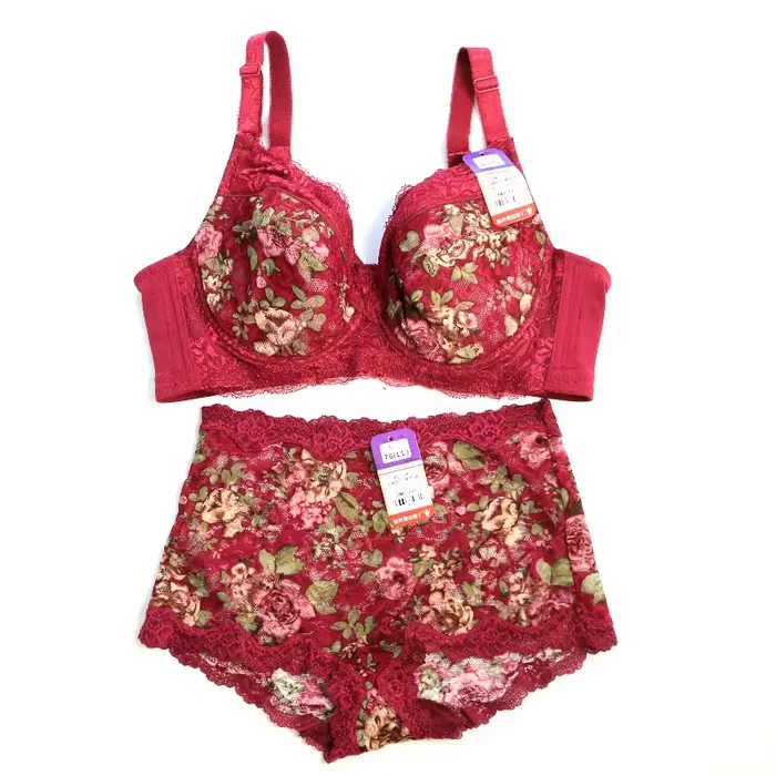 Dámské sexy vyšívané krajkové podprsenky, dámské spodní prádlo, velké velikosti, plná čepice, 34 36-48 B C D E F