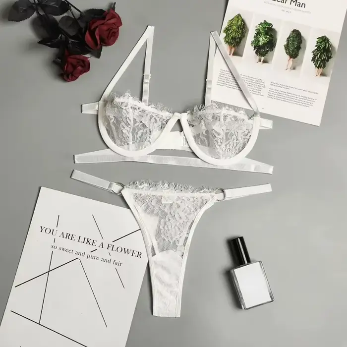 Sexy souprava spodního prádla pro ženu z průhledné krajky, vílu připomínající vyšívání, jemnou podprsenku, push-up sada, soubor tenkých kalhotek, jemné erotikkyně podprsenky