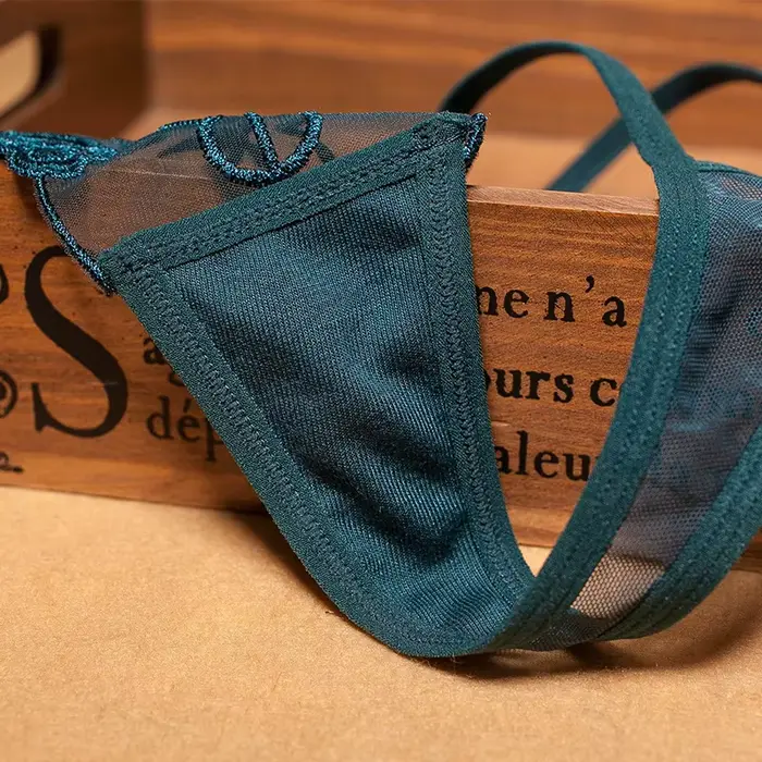 Dámské sexy vyšívané kalhotky, průhledné bezešvé spodní prádlo, G-string tanga