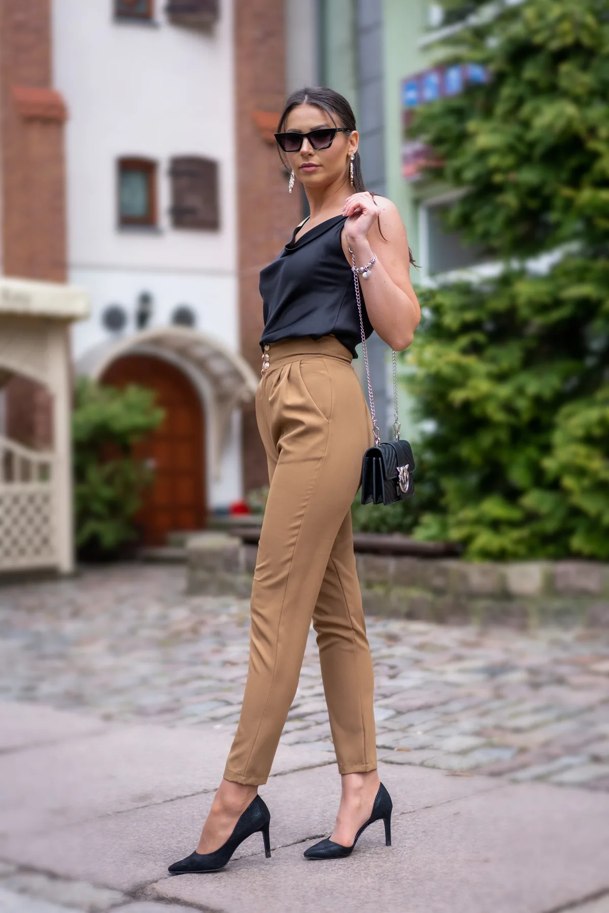 Elegant Camel